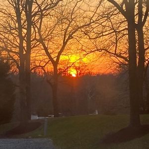 Meet your Posher, Xoxobeza